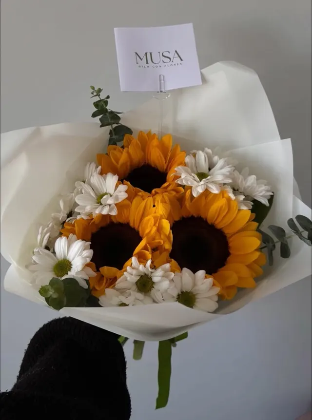 Ramo de girasoles y margaritas en papel blanco